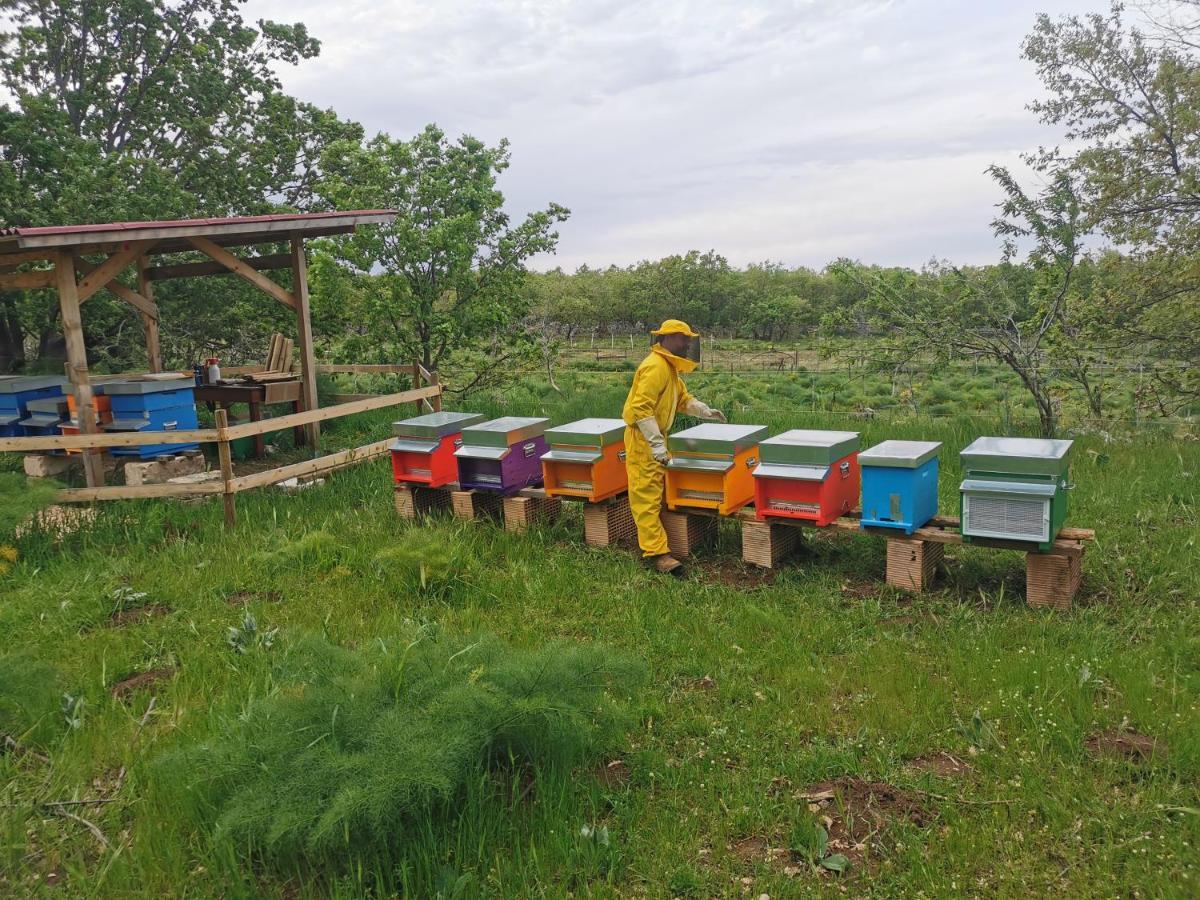 Tenuta Tedone Consolini Vila Ruvo di Puglia Exterior foto
