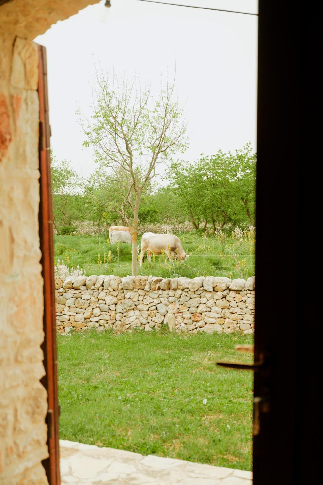 Tenuta Tedone Consolini Vila Ruvo di Puglia Exterior foto