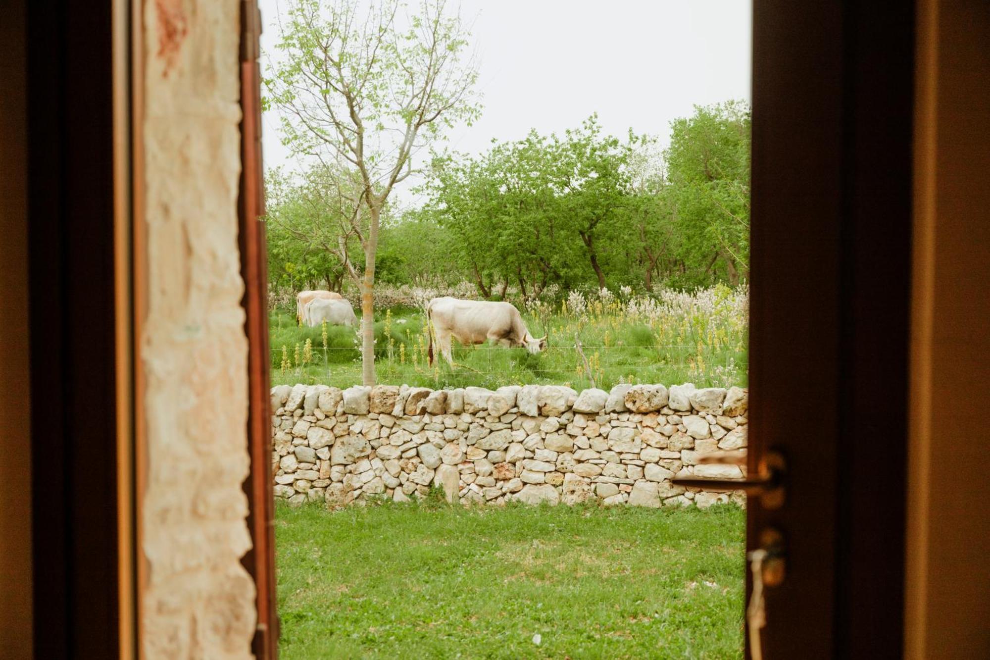 Tenuta Tedone Consolini Vila Ruvo di Puglia Exterior foto