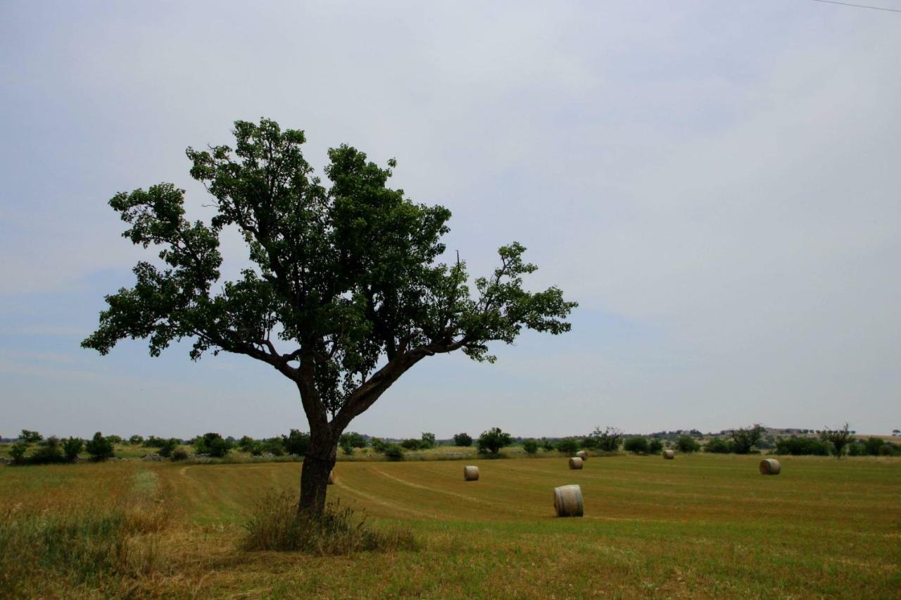 Tenuta Tedone Consolini Vila Ruvo di Puglia Exterior foto