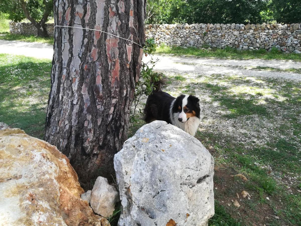 Tenuta Tedone Consolini Vila Ruvo di Puglia Exterior foto